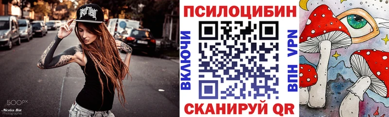 купить наркотик  Хвалынск  Галлюциногенные грибы Psilocybe 